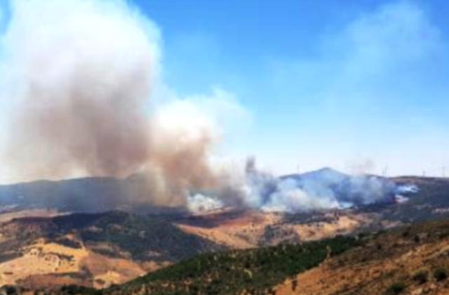 Palermo, attivato il Centro di Coordinamento dei Soccorsi per l'emergenza incendi