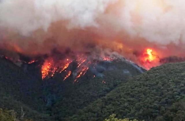 Regione Siciliana. Emergenza incendi - Segnalazioni danni subiti da imprese agricole