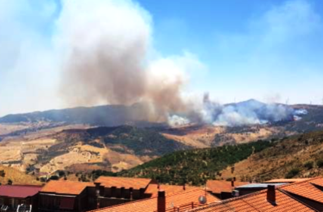 Allerta incendi in Sicilia. Schifani: «Regione Siciliana dichiara stato di crisi e richiama in servizio 1.600 operai forestali»