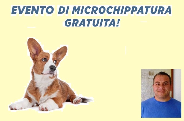 Il Comune di Niscemi dispone la microchippatura gratuita per cani e gatti