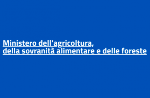Terzo settore. Il ministro dell'Agricoltura, Lollobrigida: 165 milioni per accesso cibo di qualità a persone in difficoltà economiche