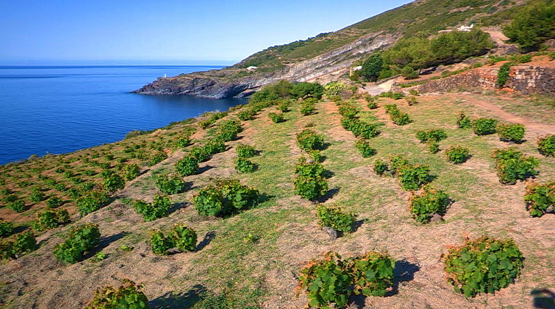 Sei nuove aree iscritte nel registro nazionale dei paesaggi rurali storici: c’è anche Pantelleria