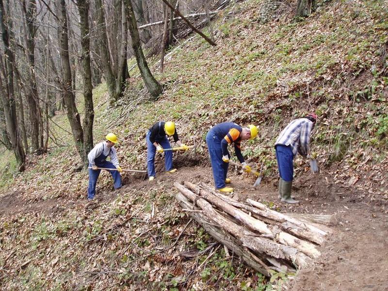 Nuova sospensione per i forestali siciliani