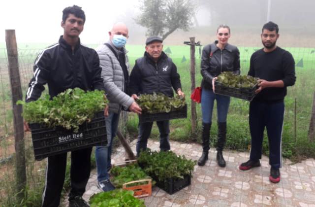 Progetto “Grow Your Future”. Oggi, nell'orto della coop. "Il Geranio" raccolti ortaggi donati a MCL per le famiglie bisognose