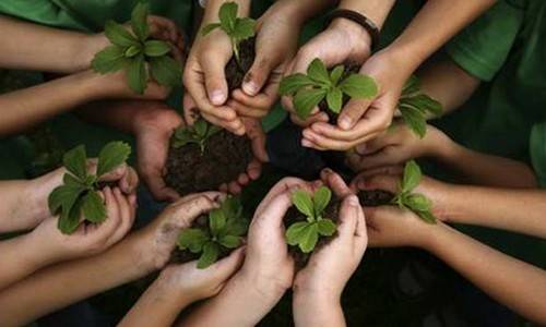 Il progetto dell'orto sociale; laboratorio partecipato per l'inclusione sociale