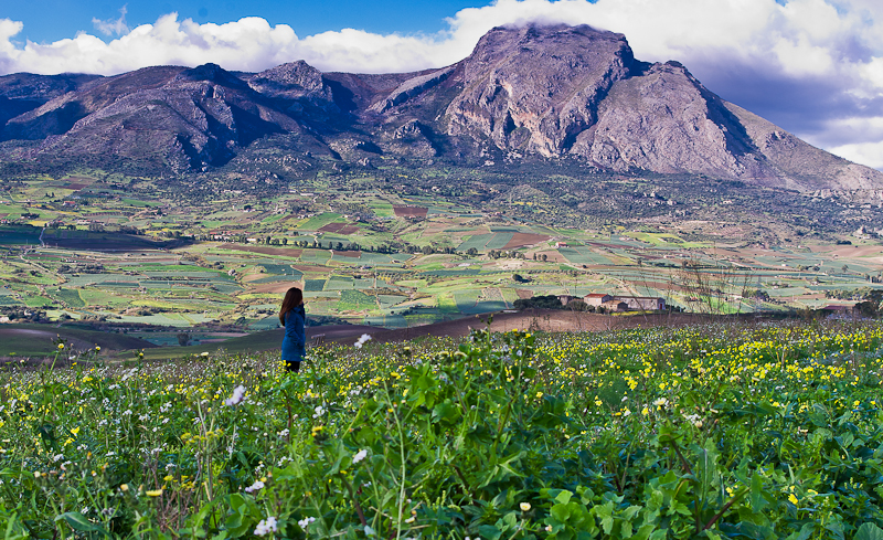 "Sicily Landescape day": martedì giornata di studi