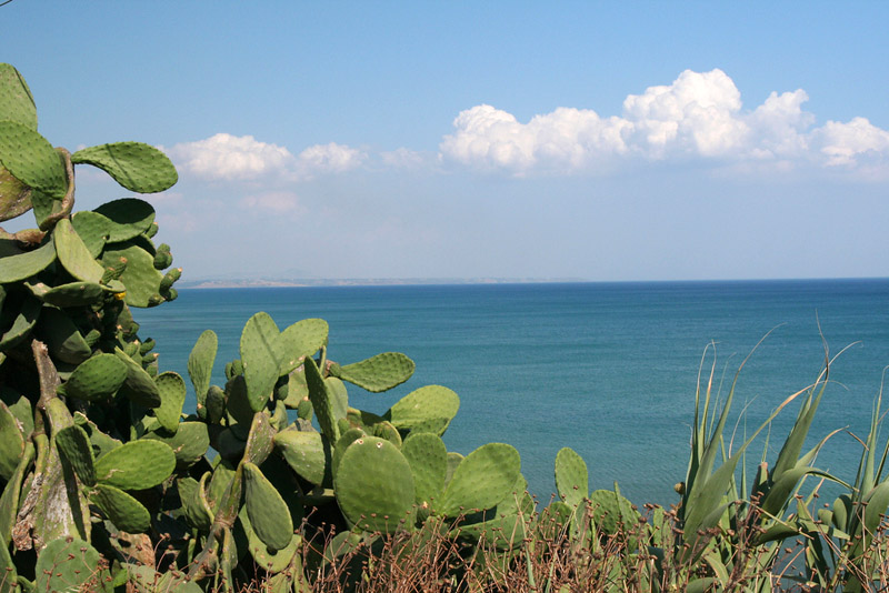 "Istituire la giornata del paesaggio siciliano"