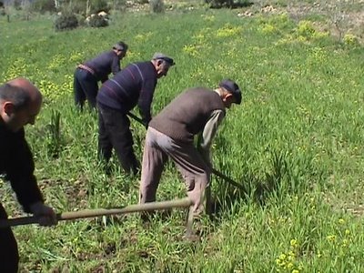 L'appello delle imprese agricole a Salvini: "Apra i porti"