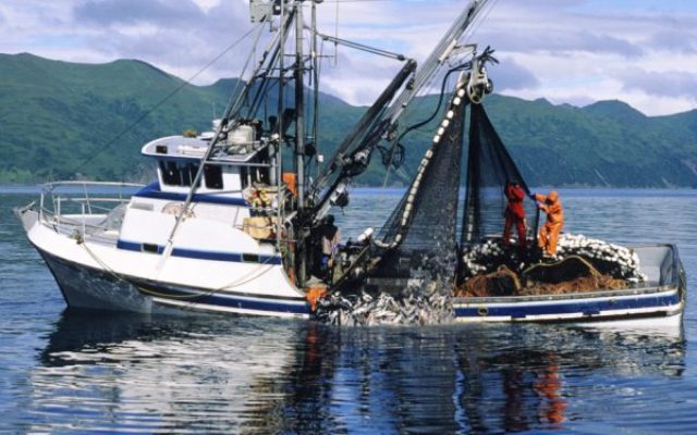 Regione attivi Fondo solidarietà per il comparto pesca fermo da 2 mesi. Spinella (Unicoop Sicilia)  