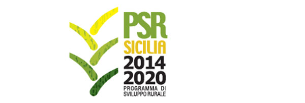 Psr Sicilia, bando innovazione in agricoltura a metà agosto: al via incontri informativi