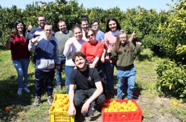 Beni confiscati alla mafia, continua la raccolta solidale di arance nel segno dell'inclusione sociale