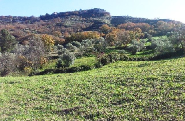 Regione: assegnati i primi 430 ettari a dodici agricoltori siciliani, grazie a "Banca della Terra" 