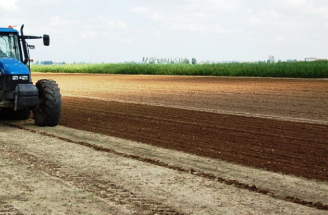 A Messina la rete del lavoro agricolo di qualità. Opererà attraverso la cabina di regia territoriale istituita in prefettura