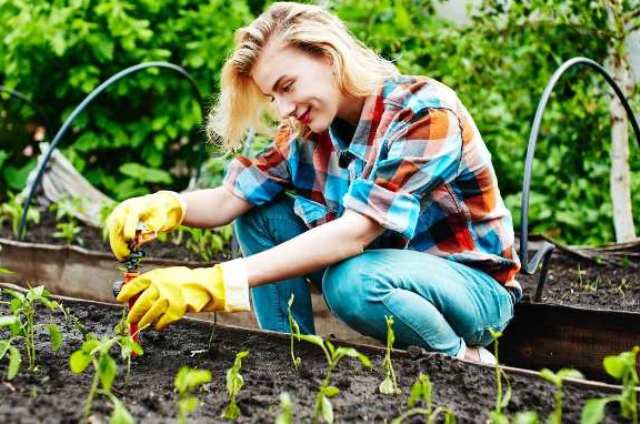 Bonus “donne in campo”, requisiti e come richiedere incentivo per imprenditrici agricole